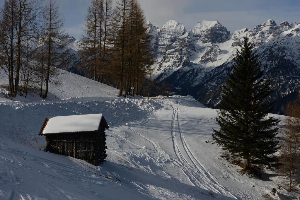 Bed and Breakfast Haus Elisabeth Neustift im Stubaital Exterior foto