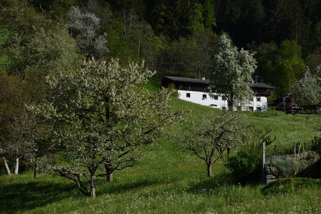 Bed and Breakfast Haus Elisabeth Neustift im Stubaital Exterior foto